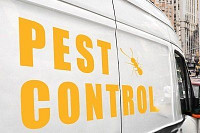 3M Scotchcal 100 serie 1220mm