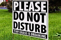 3M Scotchcal 50 series 1220mm