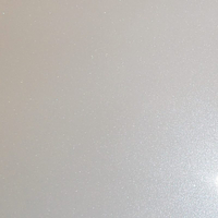 GrafiWrap Ex81 White Silver High Gloss Metallic